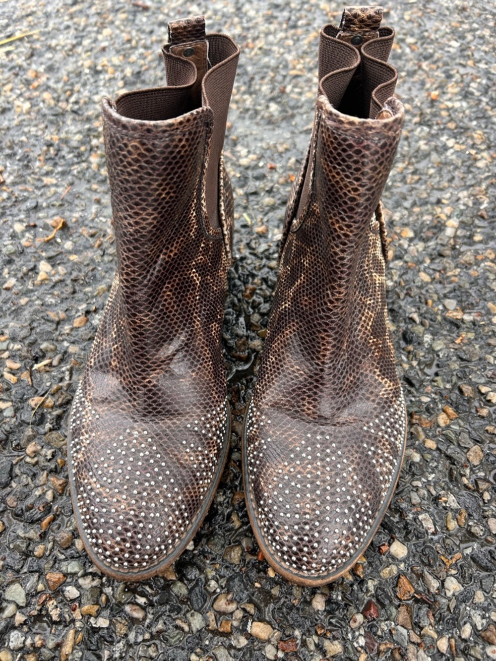 Donald J. Pliner Brown Snake-Print Studded Leather Ankle Booties